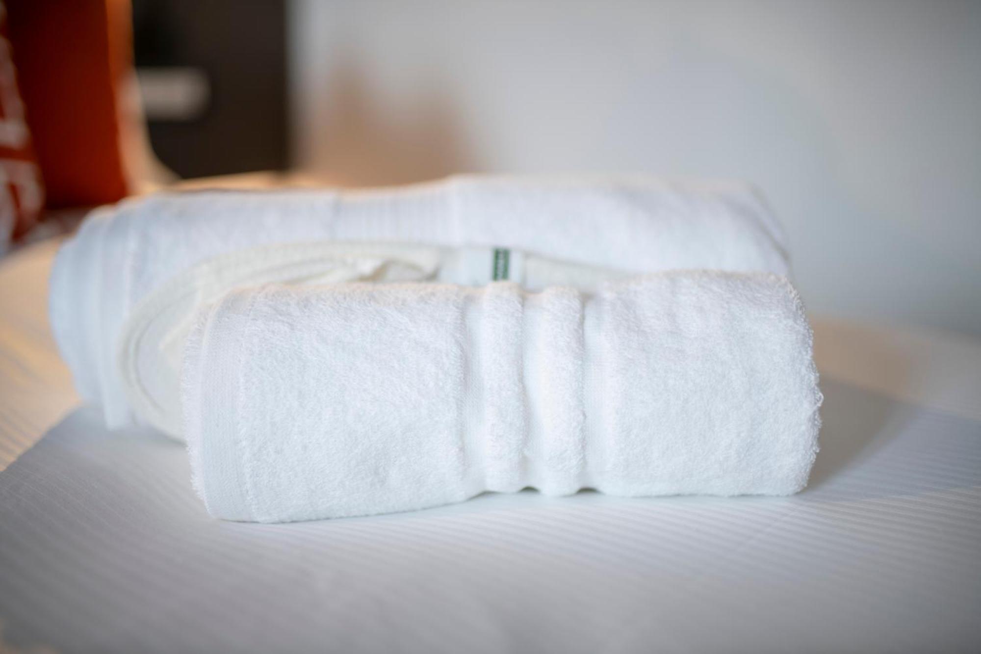Trastevere New Luxury Rooms 罗马 外观 照片